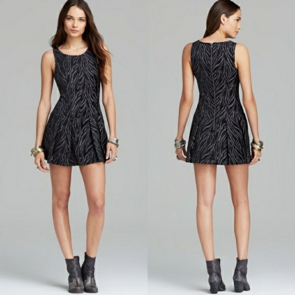 Free People Dresses & Skirts - NWT! Free People size 10 Drop waist Pleated Dress